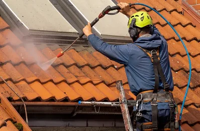 Démoussage et hydrofuge de toiture à Francon